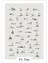 Yin Yoga Plakat - A2