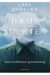 Dæmp smerten