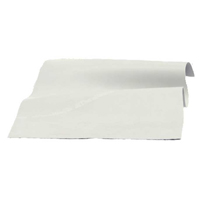 Thera-Band Elastik 2,5 m SLV