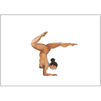 Pincha Mayurasana - A6