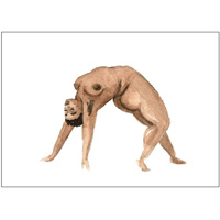 Wild Thing - A6